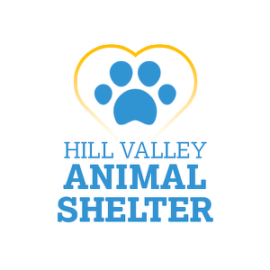 Fundraising Page: David Stein